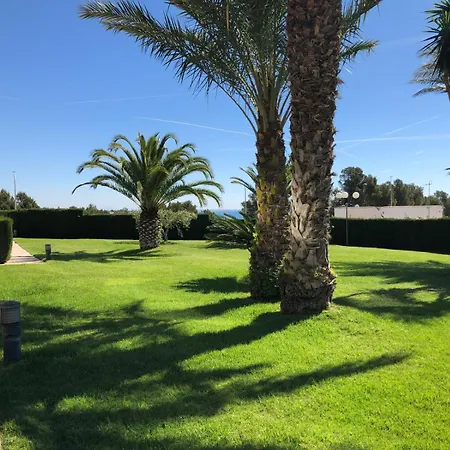 Bellavista ميامي بلاتجا
