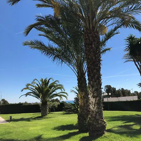 Bellavista شقة